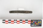 Foto von Bronzearmreif (NHMW-PRAE-026208)